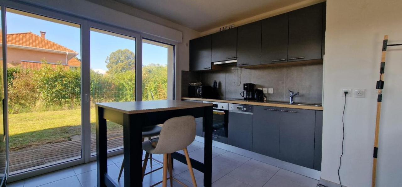 Le Paisible Apartment Douvaine Bagian luar foto